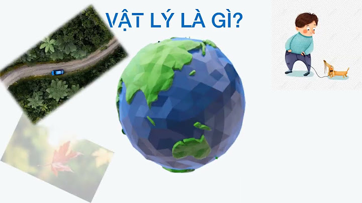 P trong vật lý là gì năm 2024