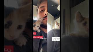 دخلتها اخر شي? fypシ cat funny kitty kitten pet kittycat catlover mycat straycat