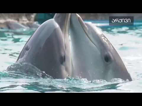 თენგო წეროძე სტუმრად გადაცემაში \"რადიოვიზია\".