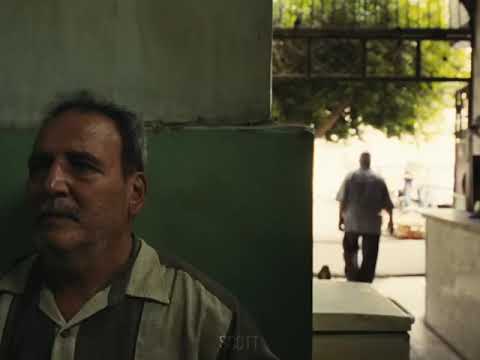 يا ماشي في البط ال Viral محمد منير الكينج Wegz Rap Foryou