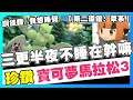 【寶可夢珍鑽】上吧！飛天螳螂！半夜三點不睡在幹嘛？【第二道館：草系】把館主虐的心服口服！寶可夢珍鑽重製#3