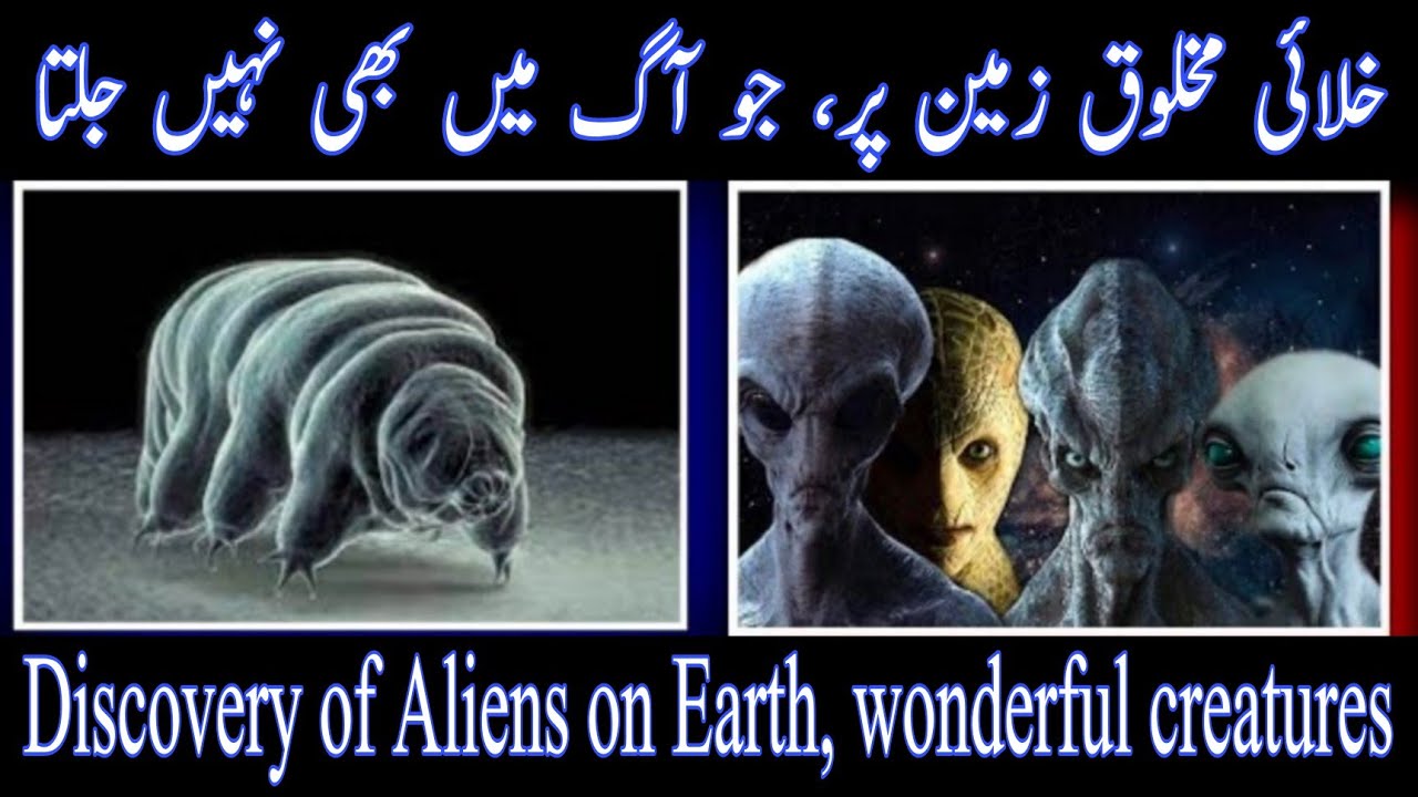 Khalai makhlooq (Aliens) zameen par daryaft. | Saki Time