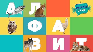 Алфавит с животными - Учим буквы - развивающие мультики Монтессори для самых маленьких