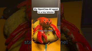 My OpenClaw AI agent in a toy lobster