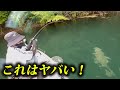 山奥に潜む野生化した巨大モンスターを釣る!【大尻沼・丸沼・ネイティブトラウト・エリアトラウト・管理釣り場】