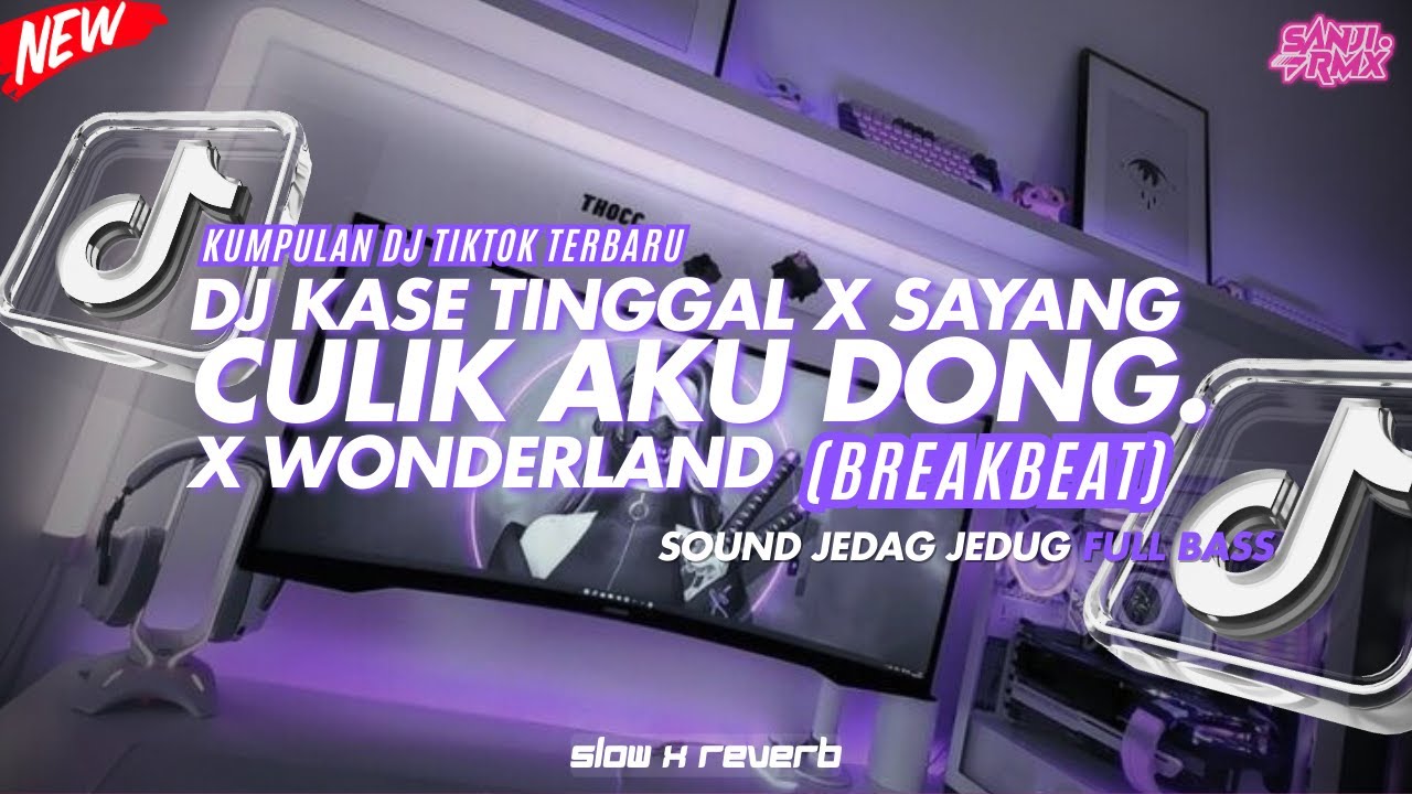 DJ TIKTOK TERBARU 2024 KASE TINGGAL X CULIK AKU DONG X WONDERLAND BREAKBEAT STYLE