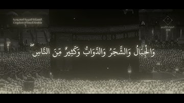 أَلَمْ تَرَ أَنَّ اللَّهَ يَسْجُدُ لَهُ / سورة الحج - ياسر الدوسري 
