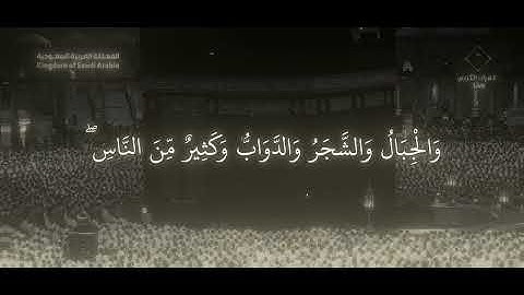 أَلَمْ تَرَ أَنَّ اللَّهَ يَسْجُدُ لَهُ / سورة الحج - ياسر الدوسري 