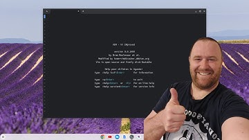 How to Install VIM on a Chromebook in 2024