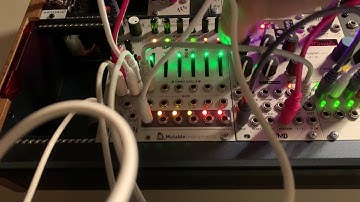 Testing, Testing - Ouroboros - Mutable Instruments Stages - Hidden Mode/Easter Egg (No Talking)