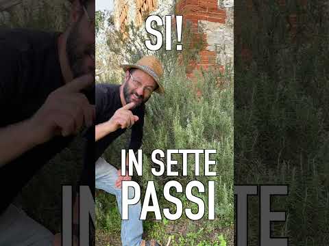 Video: Come propagare talee di clematide nella tua casa di campagna?