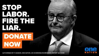 'Fire the Liar': One Nation's push for donations to bring down Albanese