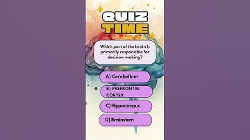 "Which Part of the Brain Controls Decision-Making?🧠 Test Your Brain! #Shorts#Trivia #Quiz#QuizzyPop
