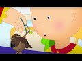 Caillou and the Injured Bird ★ Funny Animated Caillou | Cartoons for kids | Caillou