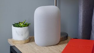 Google Nest Audio Review: Small Price, Big Speaker