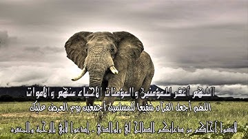 Sorat Al Feel الشيخ ناصر القاطمي سورة الفيل