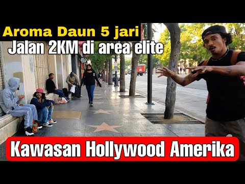 Video: Tempat tinggal di Hollywood: Kawasan & Hotel Terbaik, 2018