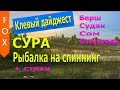 Сура, рыбалка на спиннинг. Русская Рыбалка 4