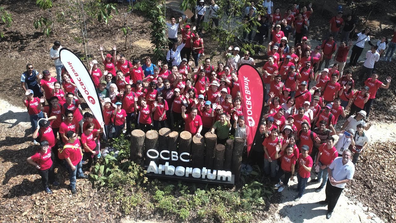 We're building an arboretum to help grow more trees