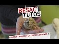 Besac'Tutos #1 : Comment nourrir les oiseaux en hiver ?