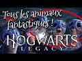 TOUS LES ANIMAUX FANTASTIQUES DANS LA BANDE-ANNONCE DE HOGWARTS LEGACY | JEU VIDÉO HARRY POTTER