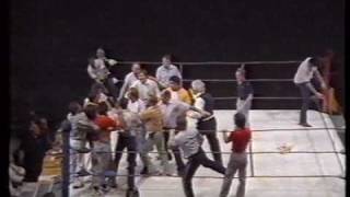 Salisbury Vs Temelkov - Brawl at The Sydney Opera House