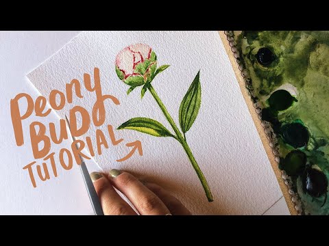 HOW TO PAINT FLOWER STEMS 🌸 Watercolor Techniques and Tips for Beginners 