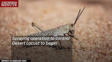 Spraying operation to control Desert Locust to begin
