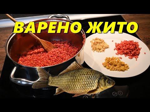 Видео: Коя река захранва язовир Gariep?