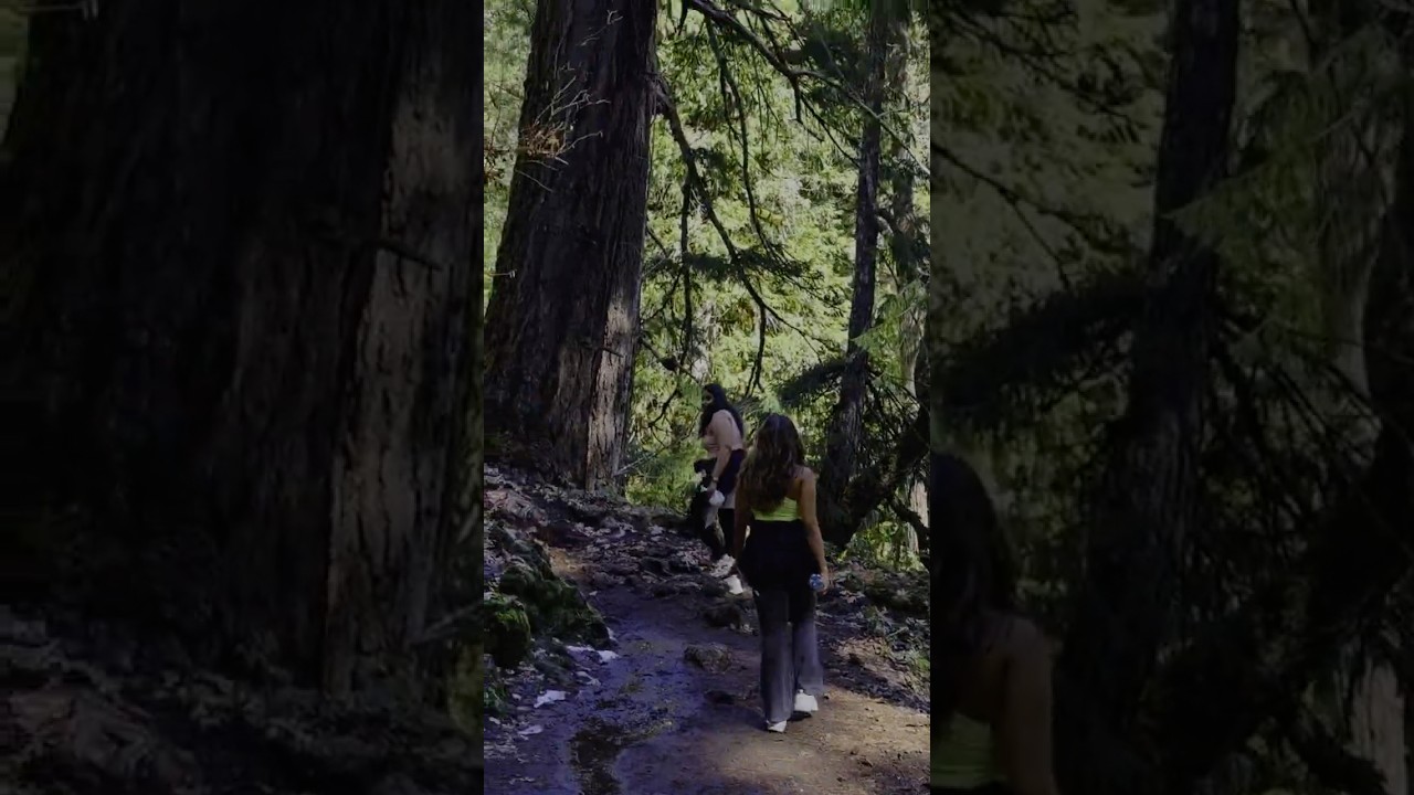 Blue Pool & Tamolitch Falls | Oregon’s Bluest Water 💙 