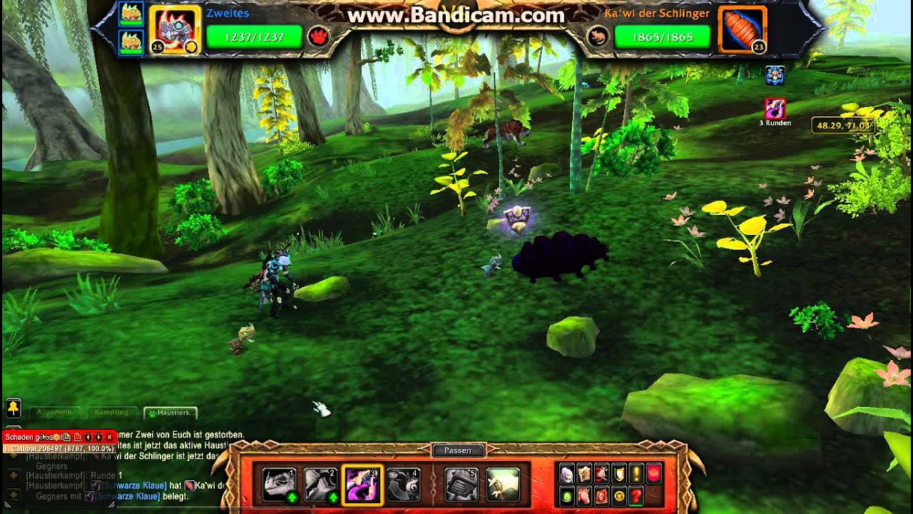 Wow-Mop Haustier Guide Ka´wi der Schlinder der legendären Haustiere