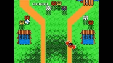 Kick Challenger Air Foot Review