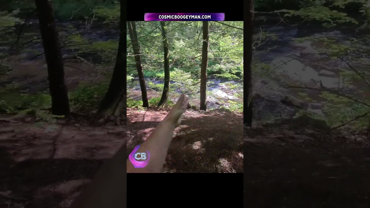 👓 Cosmic Lens | Your Problem Might Be Blocking the View  🌲 #mrcosmic #CosmicLens #tarot thumbnail