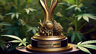 Cookies and Humboldt grow.  Chance to win free feminized seeds