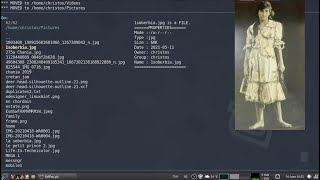 fzffm:Fuzzy Finder File Manager (with image previews) screenshot 4