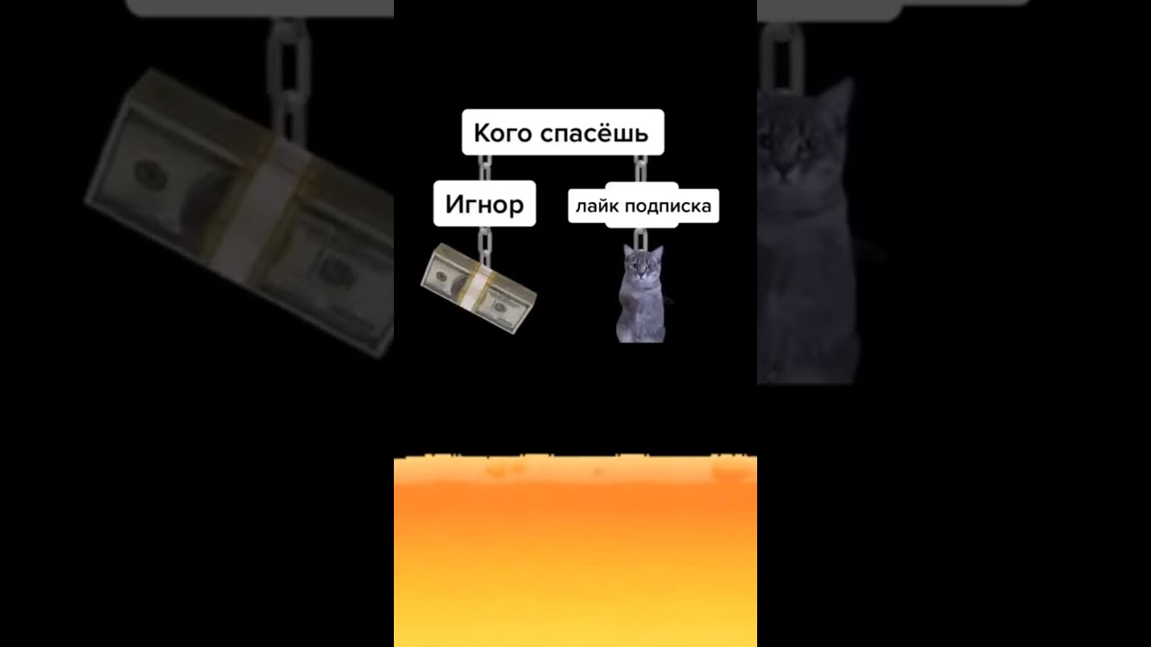 спаси котика 