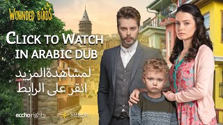 Wounded Birds Episode 1 | Arabic Dubbed