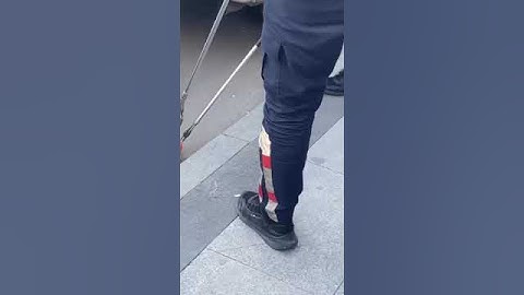Şehrin göbeğinde yılan paniği