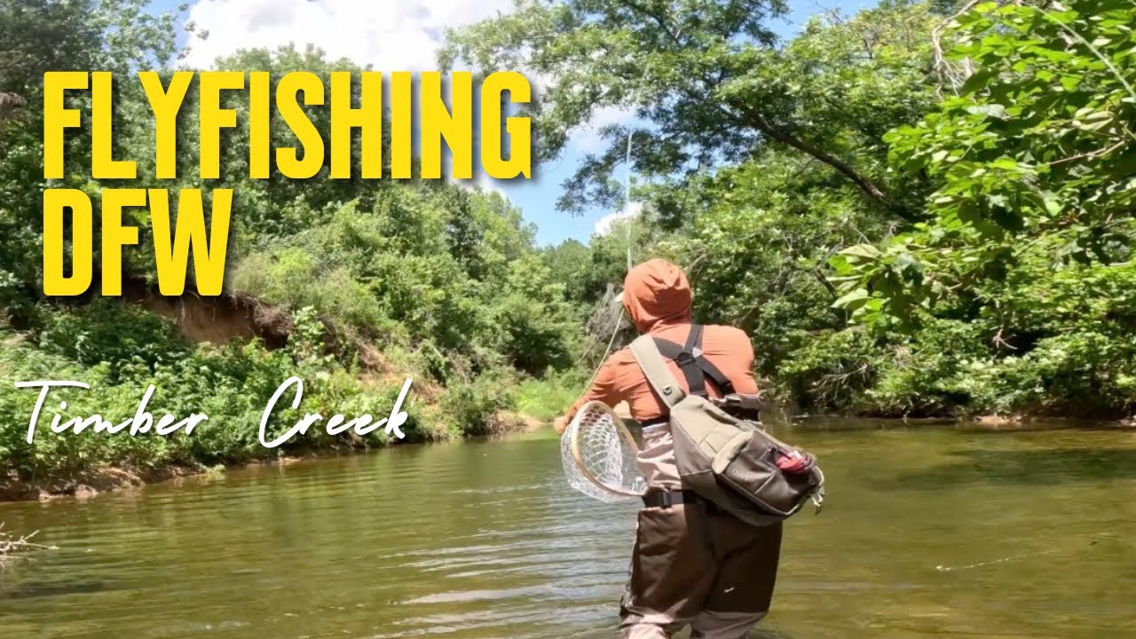 CAN YOU FLYFISH IN DALLAS? Flyfishing in DFW Episode 1. Timber Creek.
