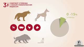 Корма для кошек и собак • Acana и Orijen (Канада) • Зоомагазин Zverushka.org.ua Корма для кошек и собак • Acana и Orijen (Канада) • Зоомагазин Zverushka.org.ua