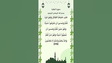 سورة البقرة مكتوبة الاية 216 #quran #فارس_عباد #الجزائر #المغرب #السعودية #مصر #العراق #الاردن