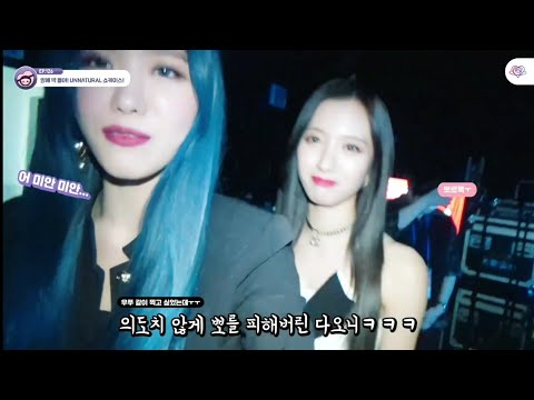 [우주소녀] 보나 뿌앵 졸귀 모먼트 (ft. 다오니)