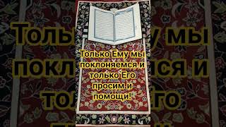 Смыслы Корана #истина #коран #молитва #бог #ислам #вера #смыслжизни  #счастье #смерть #пророк