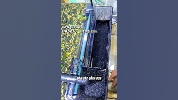 Lọc Thác Khổng Lồ Yee – Gác Lên Là Chạy #LọcThácYee #HồCáTrongVèo