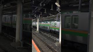 JR東日本宇都宮線E233系快速ラビット