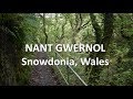 Nant Gwernol, Wales