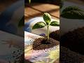 AI Tree Inside a Book #asmr #ai #viral #3d #foryou #tiktok #trending #shorts #tree #baby #relax