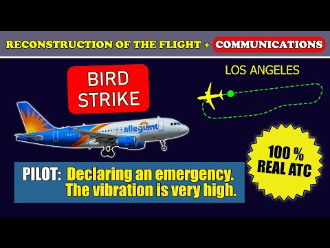 Bird strike. High engine vibration. Emergency return | Allegiant Air A319 | Los Angeles, LAX, ATC