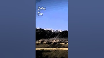 Guitar with reverse delay effect #guitar #ambientmusic