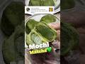 Super l mbut dan kenyal mochi matcha satu ini mochimatcha matchamochi mochi